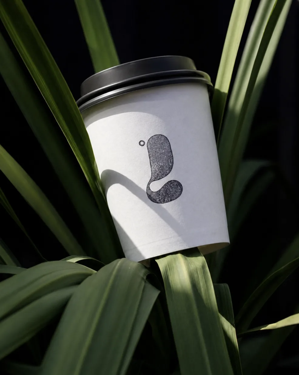 LATTITUDE to-go cup tucked into green plant leaves